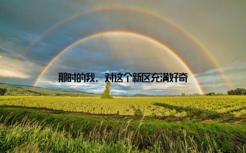 那时的我, 对这个新区充满好奇