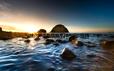 当然, 产业发展离不开市场的支持