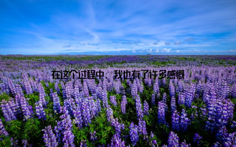 在这个过程中, 我也有了许多感慨