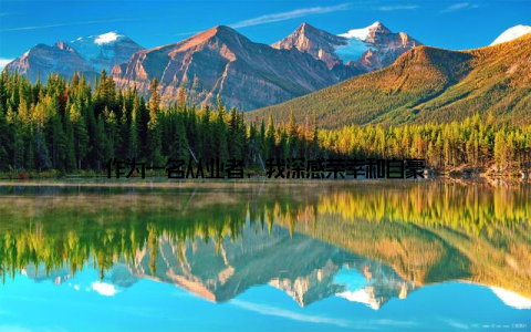 作为一名从业者, 我深感荣幸和自豪