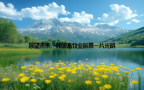 展望未来, 我国畜牧业前景一片光明