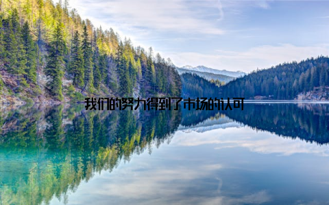 我们的努力得到了市场的认可