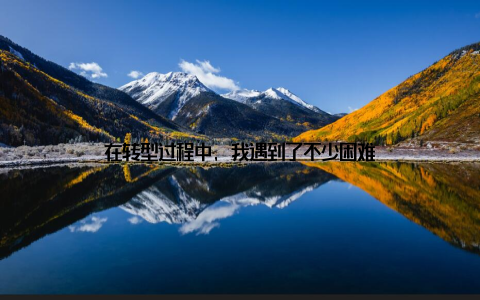 在转型过程中, 我遇到了不少困难