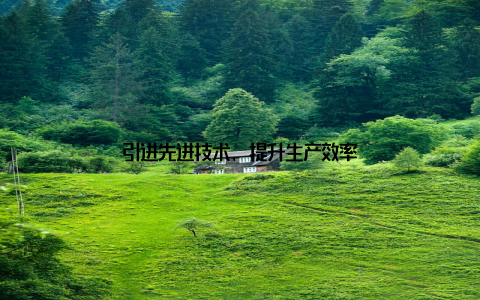引进先进技术, 提升生产效率