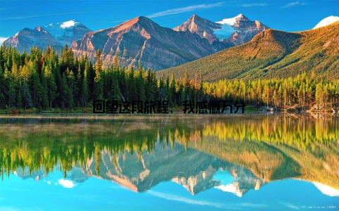 回望这段旅程, 我感慨万分