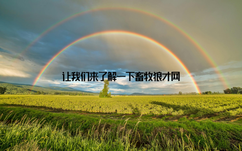 让我们来了解一下畜牧狼才网