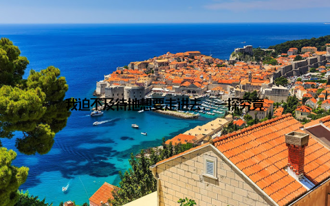 我迫不及待地想要走进去, 一探究竟