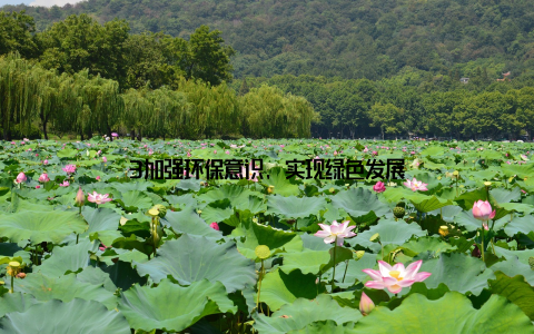 3加强环保意识, 实现绿色发展