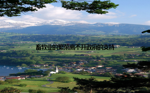畜牧业的繁荣离不开政府的支持