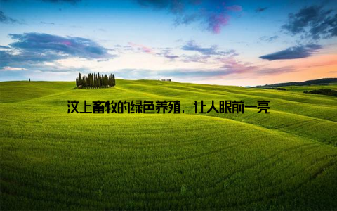 汶上畜牧的绿色养殖, 让人眼前一亮