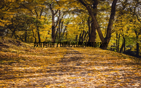 我们引进了国际先进的养殖技术