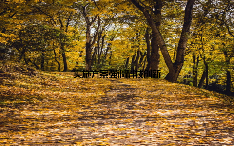 实施方案强调科技创新