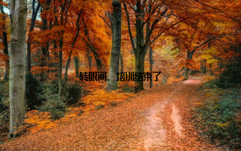 转眼间, 培训结束了