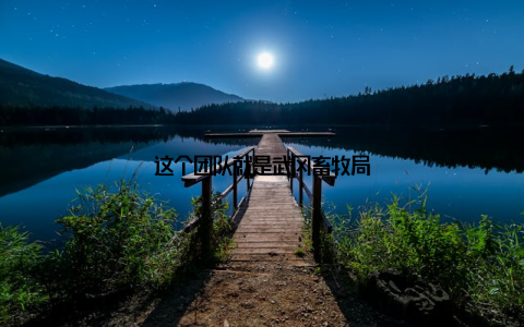 这个团队就是武冈畜牧局