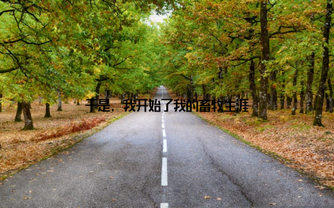 于是, 我开始了我的畜牧生涯