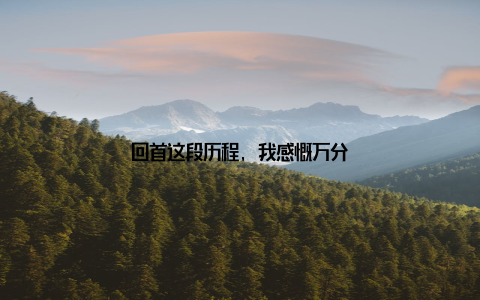 回首这段历程, 我感慨万分