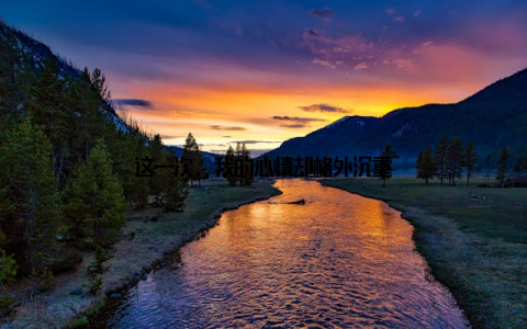 这一次, 我的心情却格外沉重