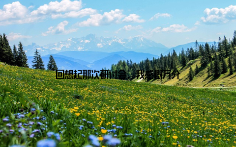 回想起那次研讨会, 我感慨万分