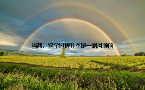 当然, 这个过程并不是一帆风顺的