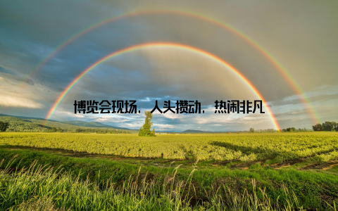 博览会现场, 人头攒动, 热闹非凡