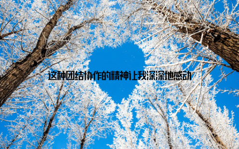 这种团结协作的精神让我深深地感动