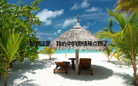 听到这里, 我心中的激情被点燃了