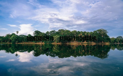 加强国际合作, 共同应对疫情挑战