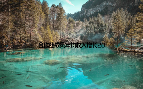 合作社成员年均收入增长20