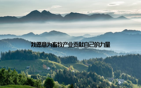 我愿意为畜牧产业贡献自己的力量