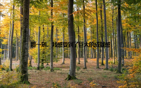 那一刻, 我感受到了巨大的成就感