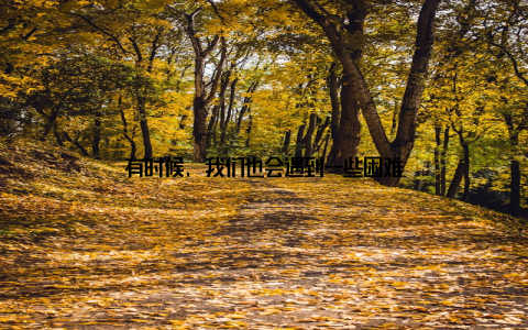 有时候, 我们也会遇到一些困难