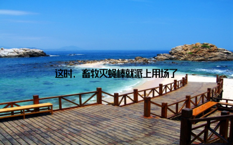 这时, 畜牧灭蝇棒就派上用场了