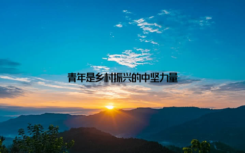 青年是乡村振兴的中坚力量