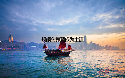 规模化养殖成为主流