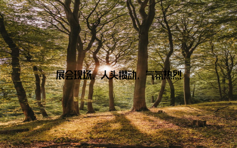 展会现场, 人头攒动, 气氛热烈