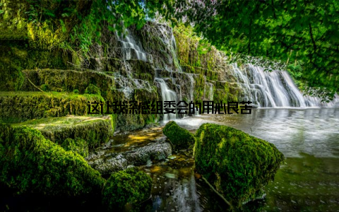 这让我深感组委会的用心良苦