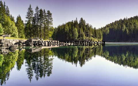 农民们的共同努力是成功的关键