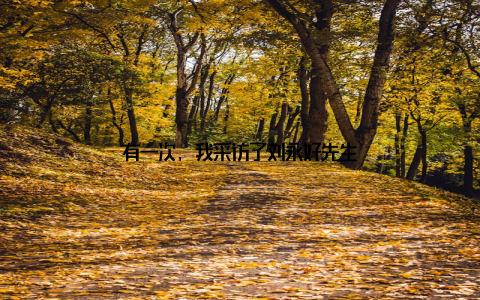 有一次, 我采访了刘永好先生