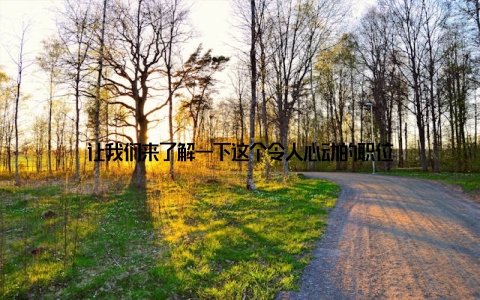 让我们来了解一下这个令人心动的职位