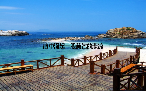 心中涌起一股莫名的悲凉