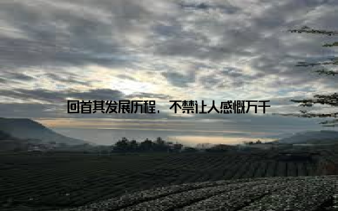 回首其发展历程, 不禁让人感慨万千