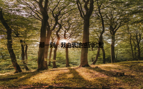 那一刻, 我由衷地感到欣慰