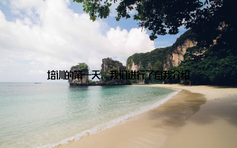 培训的第一天, 我们进行了自我介绍