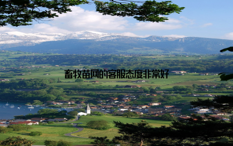 畜牧苗网的客服态度非常好