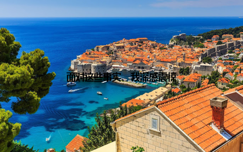 面对这些事实, 我深感震惊