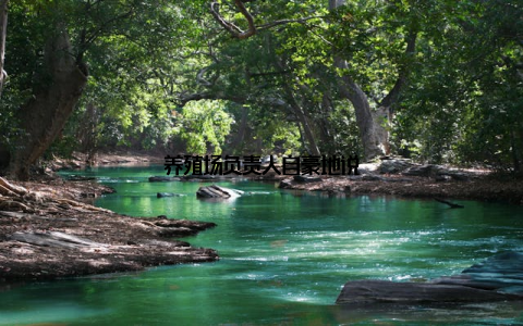 养殖场负责人自豪地说