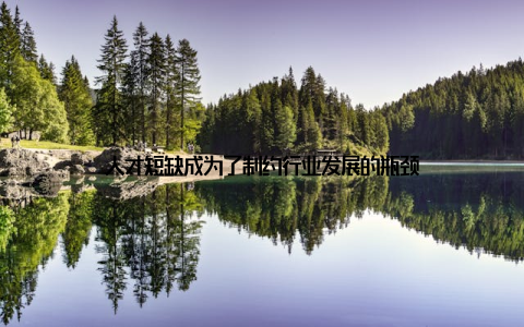 人才短缺成为了制约行业发展的瓶颈