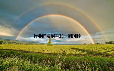 行业的发展并非一帆风顺