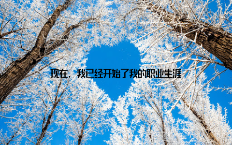 现在, 我已经开始了我的职业生涯