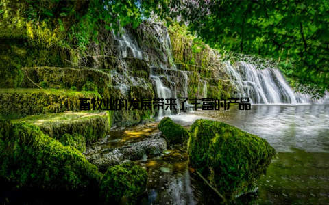 畜牧业的发展带来了丰富的产品